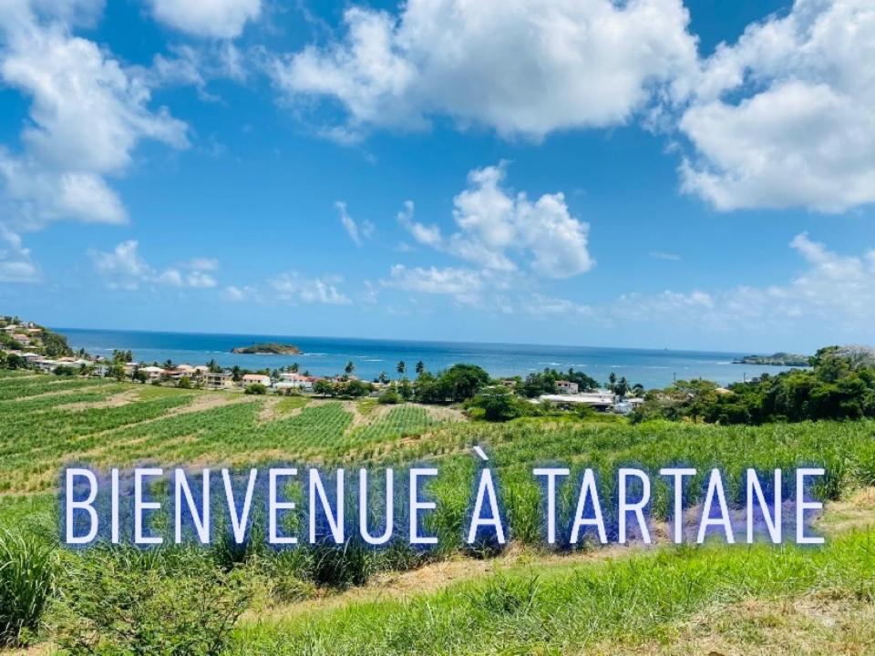 Residence De La Baie - Bleu Soleil Tartane La Trinité Eksteriør billede